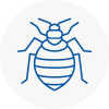 Bed Bug Extermination In Ilminster