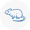 Rat Control Ilminster